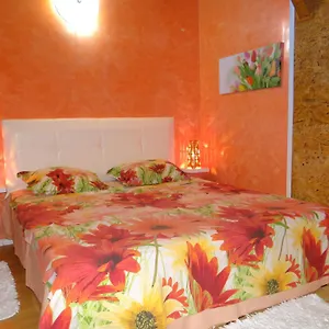 Orange Flower , Sofya Bulgaristan